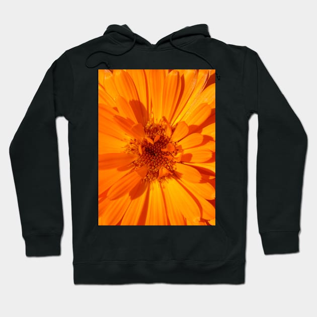 Calendula Hoodie by Chris Petty